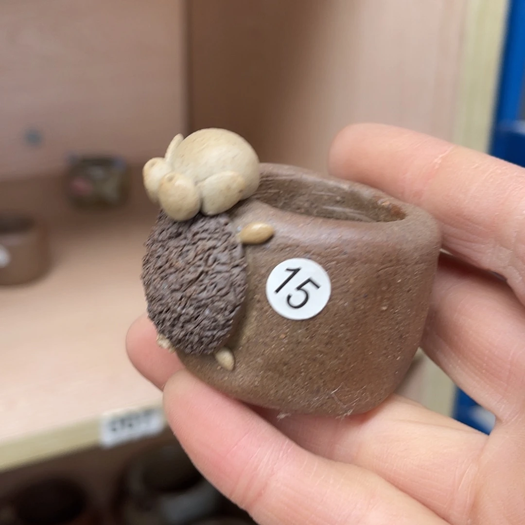 手捏小羊孤品内口3外高3