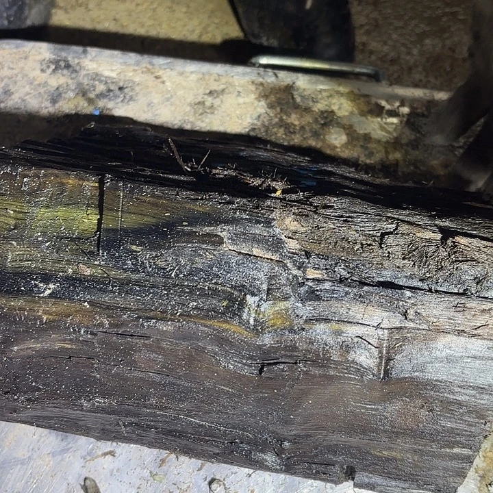 用***5金丝楠啊啊啊啊啊啊啊