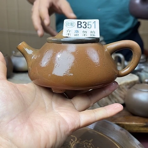 戬谷龙窑柴烧茶壶351