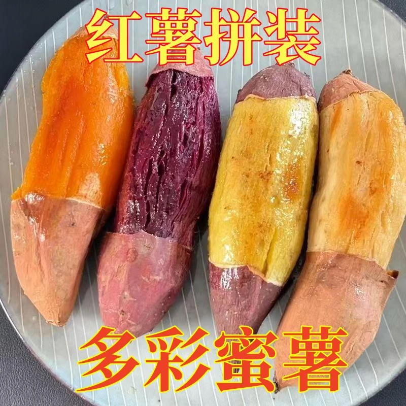 【四大薯王】四色红薯四拼蜜薯烟薯哈密薯榴莲薯紫薯地瓜番薯4.5斤