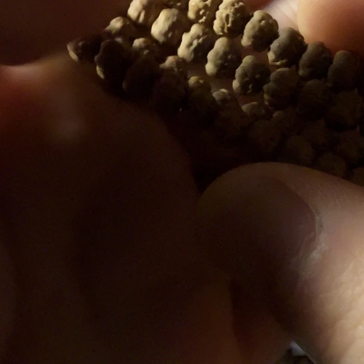 忙****吊坠金刚菩提收藏佛手