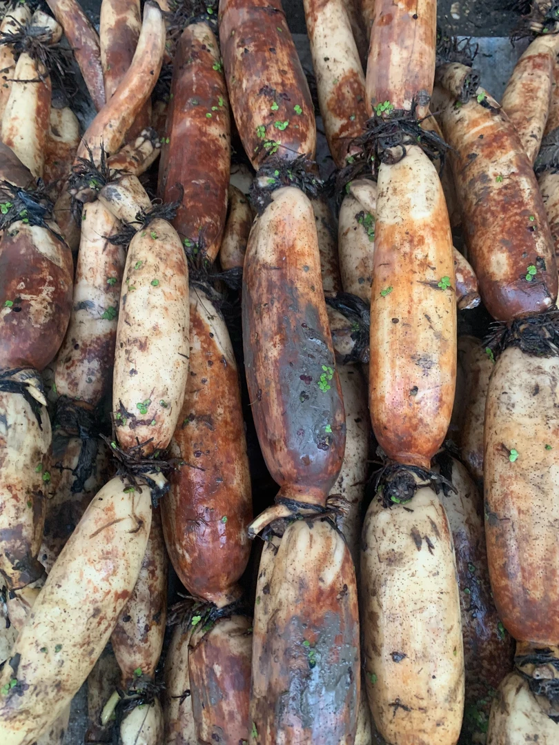 洪湖粉藕，洪湖原产地冷链包邮，洪湖原产地直发，净重3斤，5斤。