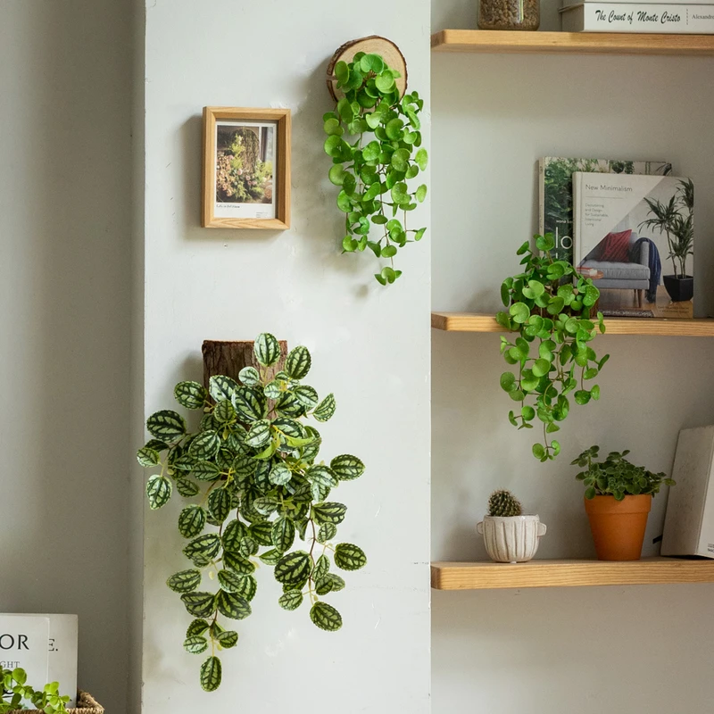 墙面仿真绿植壁挂铜钱草蕨类植物假花山草家用软装插花背景墙装饰
