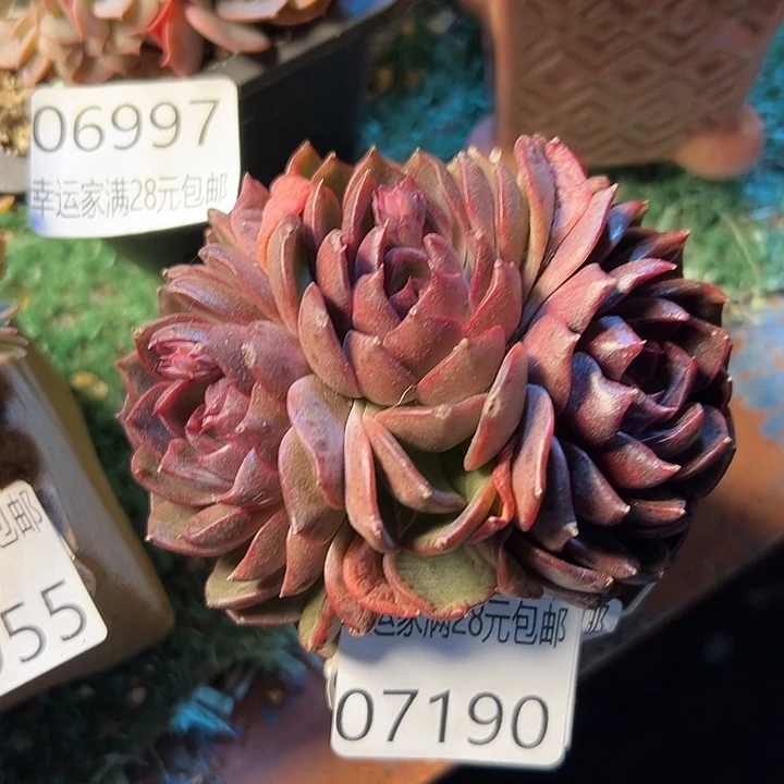 幸运的是我还没遇到过这么