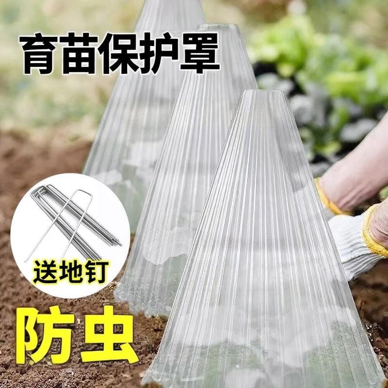 育苗保护罩透明钟罩可重复使用温室大棚免受鸟类霜冻伤害加厚批发