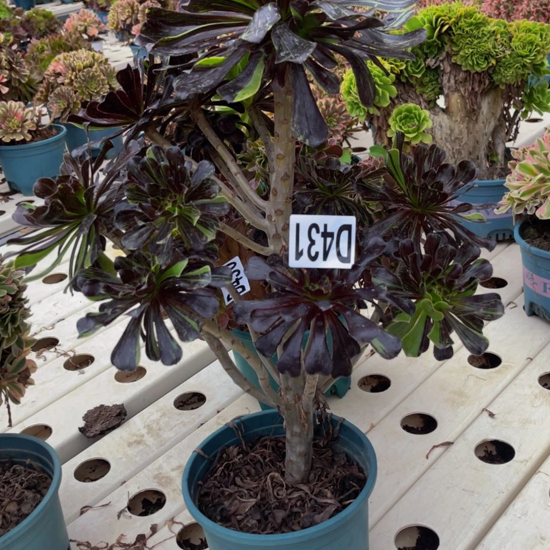 水墨丹青7//////23包邮