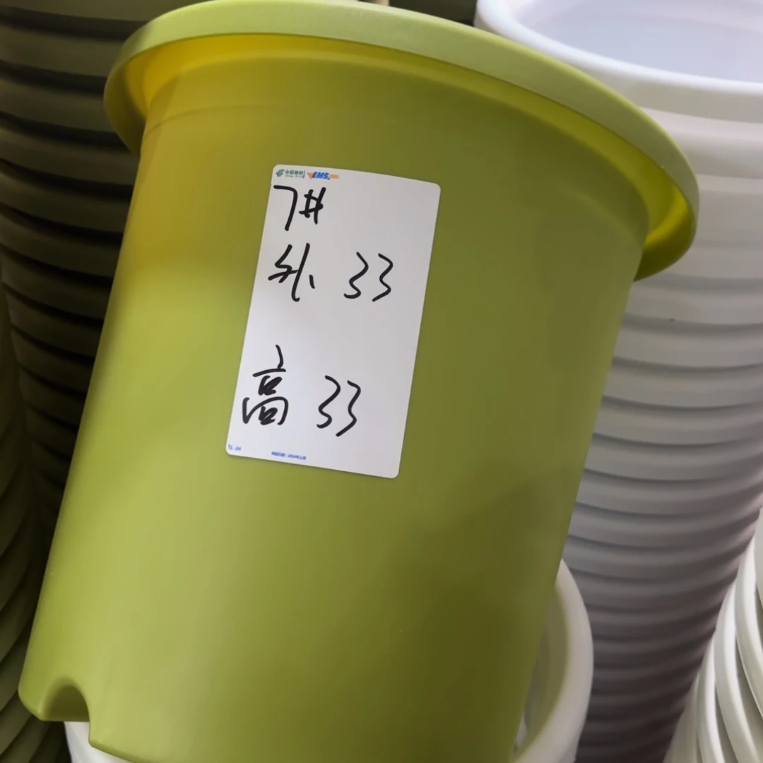 树脂四季7#无拖果绿3