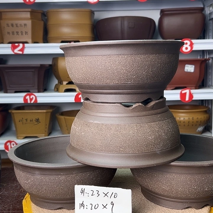 花盆紫砂蛇年大吉