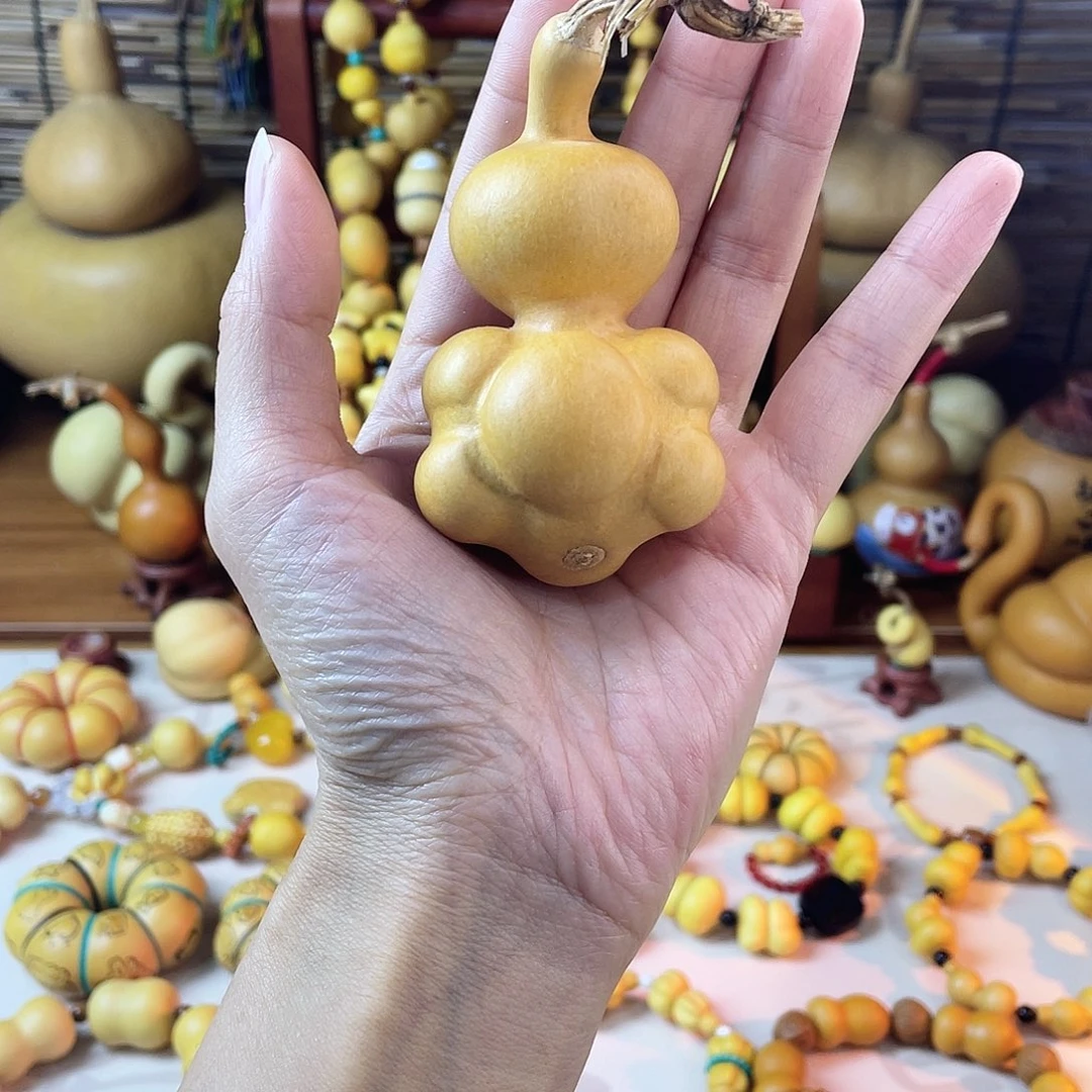 惪乌龟11111111111