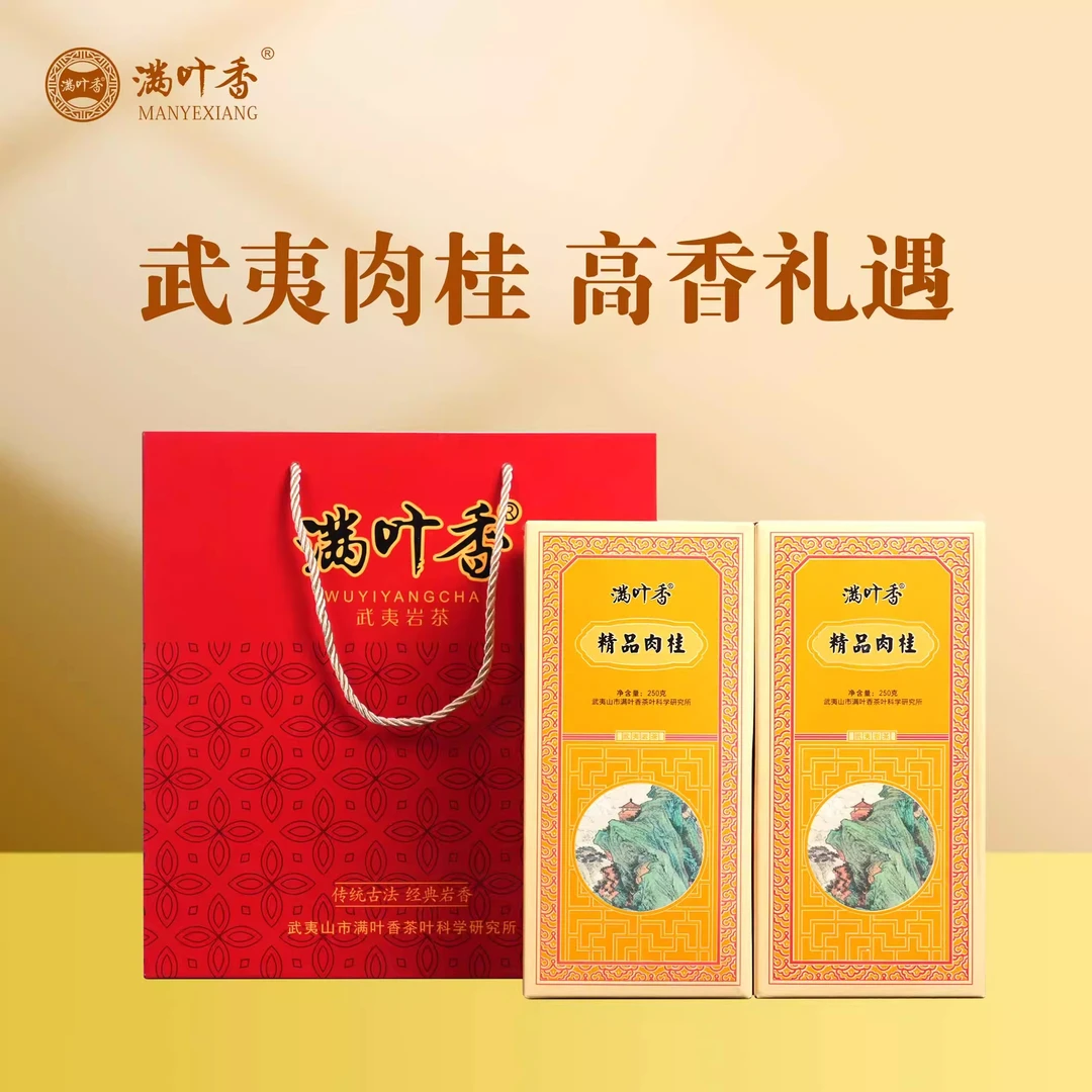 满叶香AB309精品肉桂茶叶武夷岩茶中足火一级乌龙茶礼盒条装