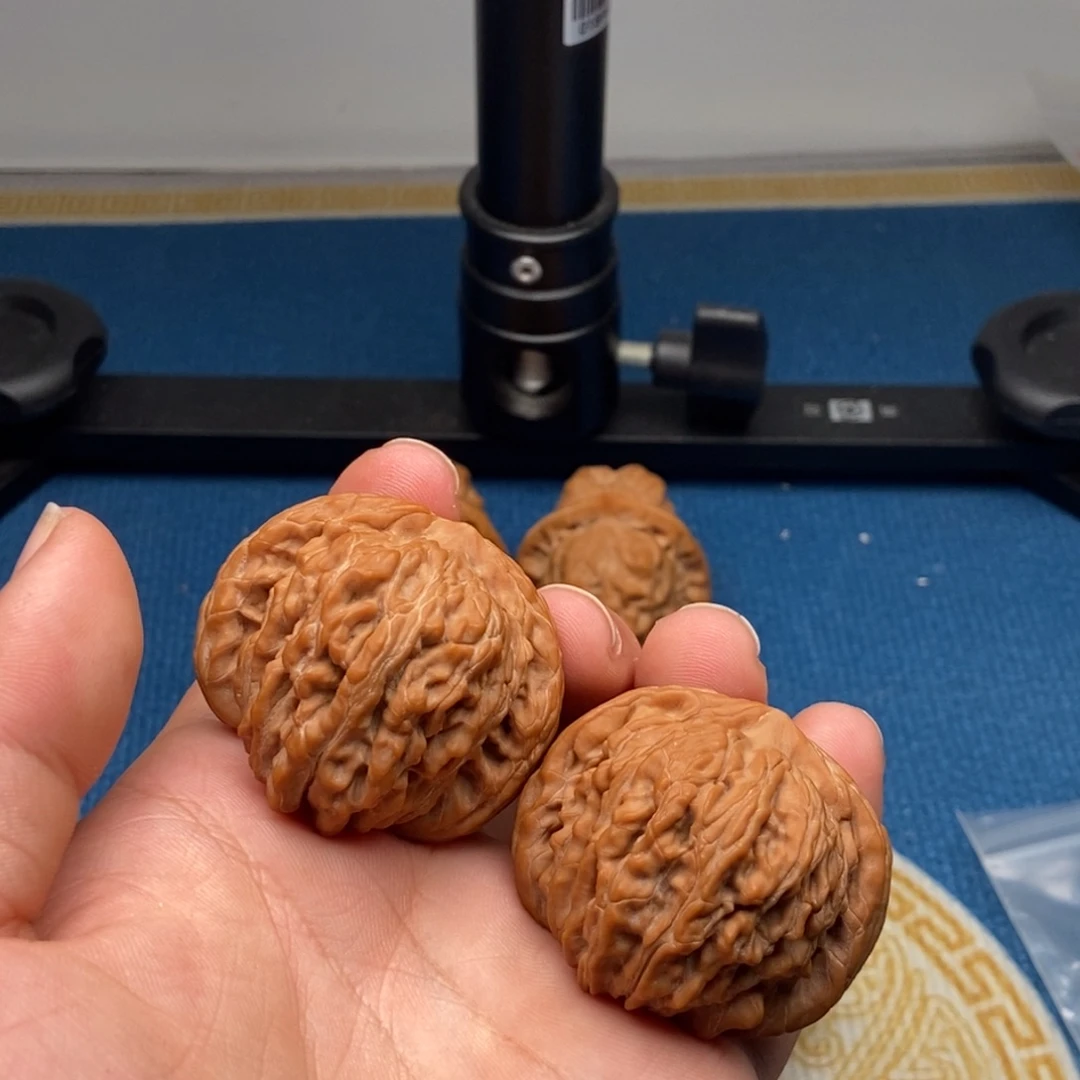 大***️核桃楼王蓟县42全品