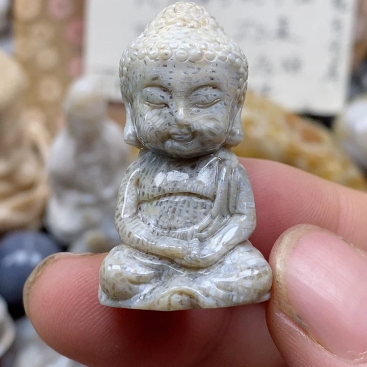 颈饰未镶嵌硅化珊瑚（珊瑚玉）