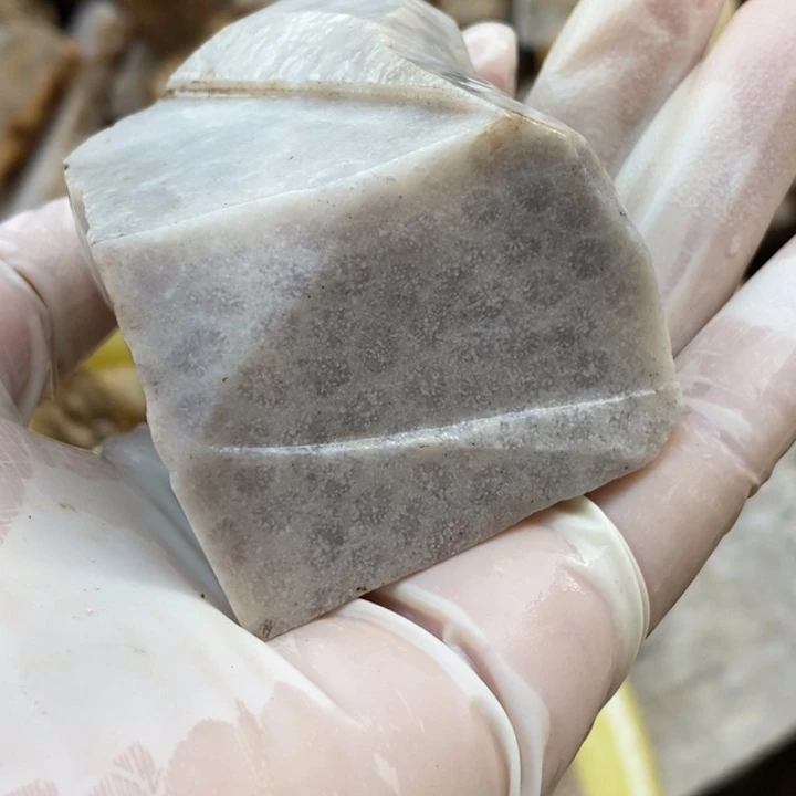 【闪购商品】未镶嵌珊瑚玉硅化玉