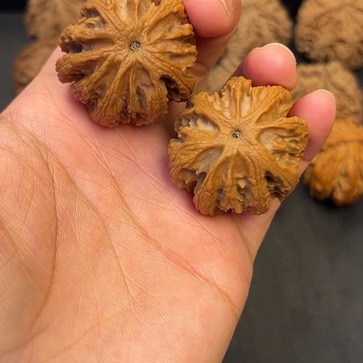 核桃秦岭突突突突突突突10