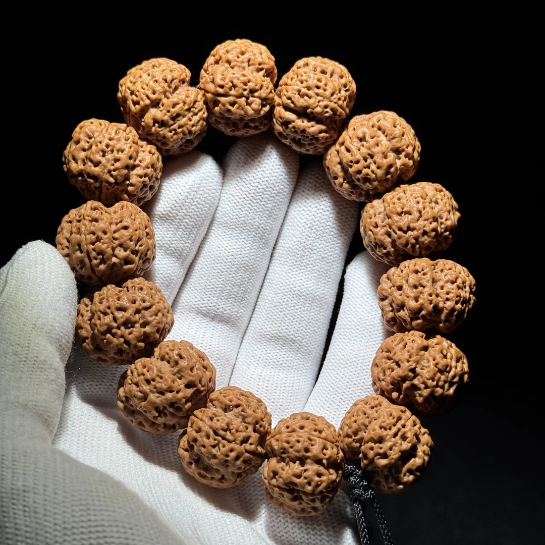 创世梅花终结者尼泊尔大金刚老树五星满肉拉勾梅花金刚菩提手串