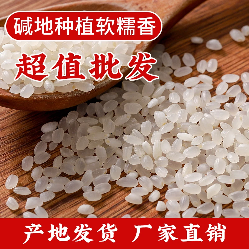 奕米阳光大米真空包装当季新米盘锦碱地米500g东北2025新日期