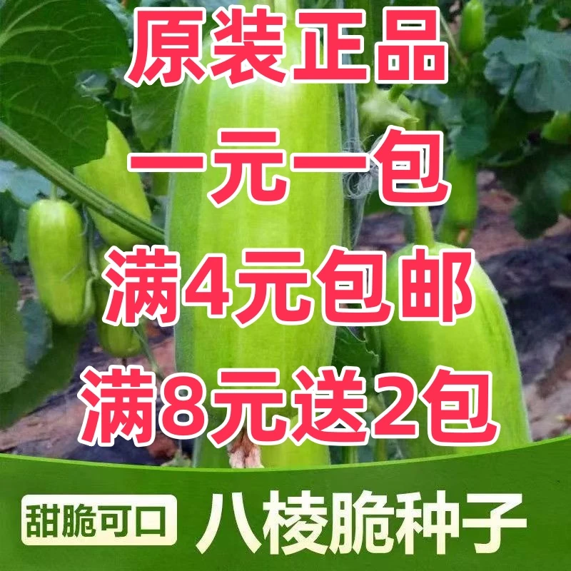 【满4元包邮】八棱脆瓜种子菜瓜烧瓜黄河脆无糖农家特菜早生青皮瓜