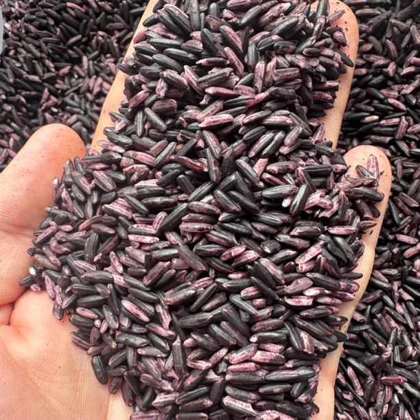 中缅农品-云南紫米新米