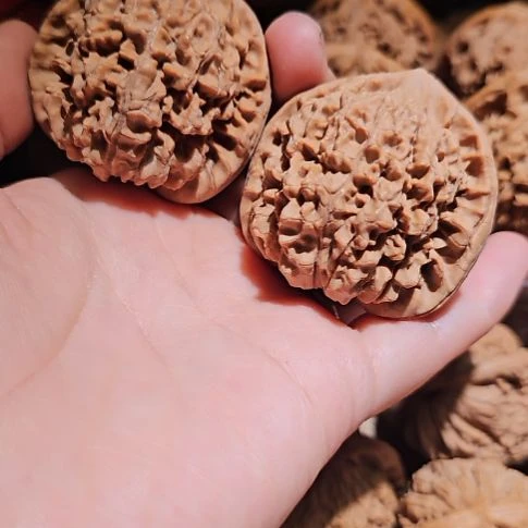 吊坠文玩核桃46管帽