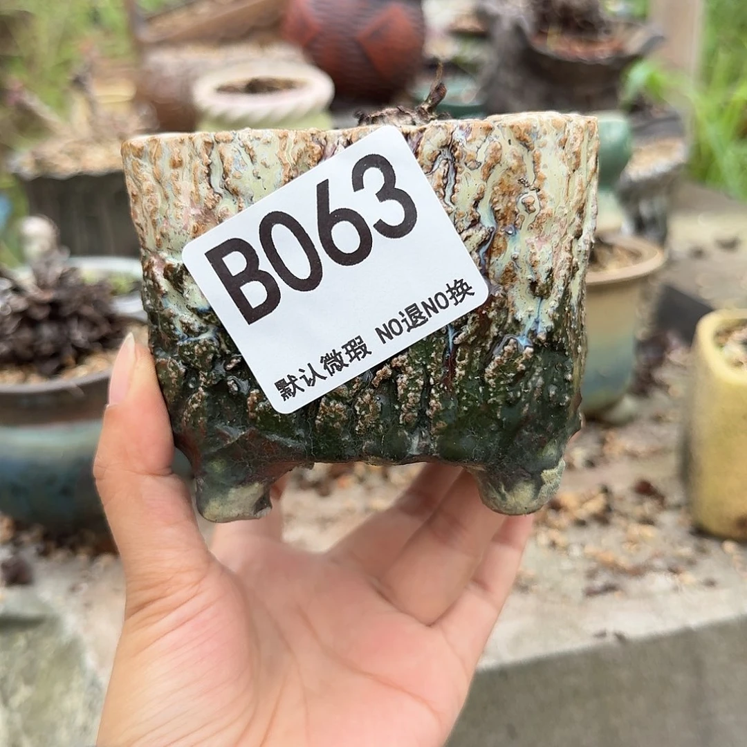 重庆小燕子欢迎大家063