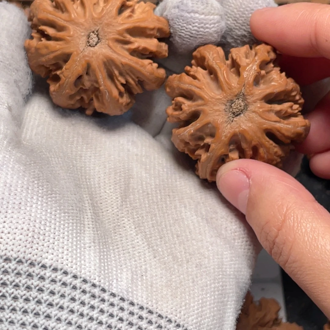 显***）桃核吊坠6秦岭灯笼野生小众