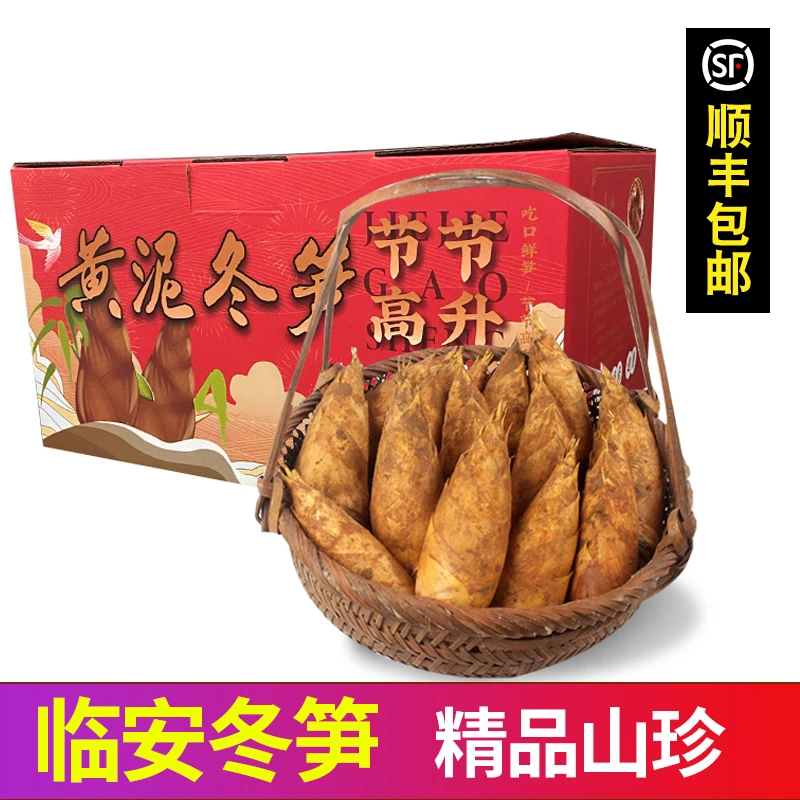【新鲜冬笋礼盒装】浙江临安黄泥笋两头尖顺丰包邮