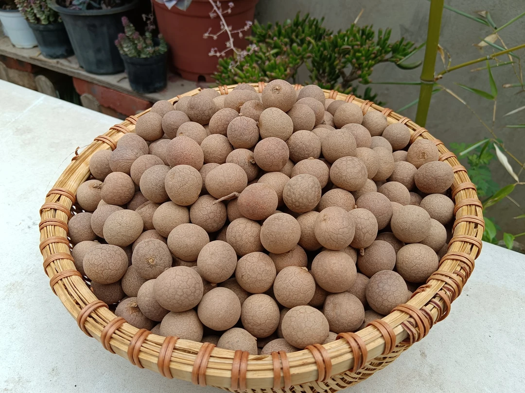 小虎收山货【桂圆干】净重500克