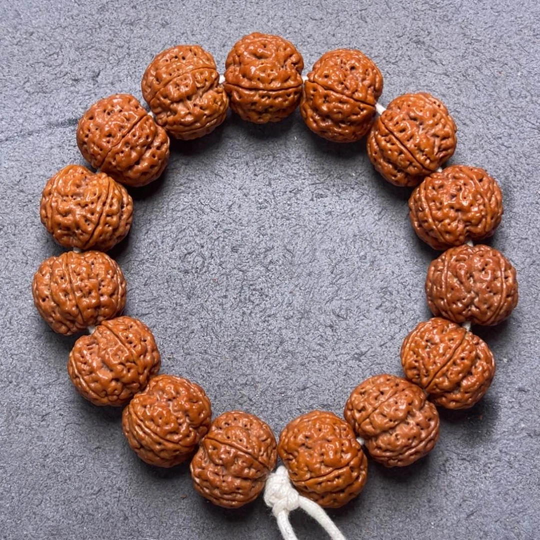 菩提35号金刚菩提梁梅花20+