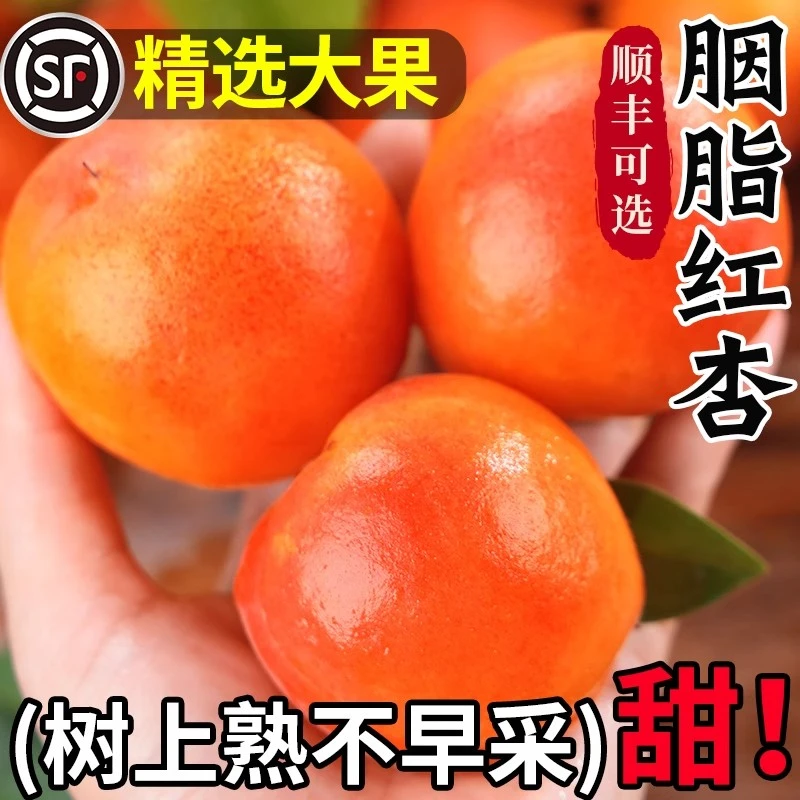 【顺丰】陕西胭脂红杏子新鲜水果当季整箱现摘自然熟甜杏贵妃太阳杏