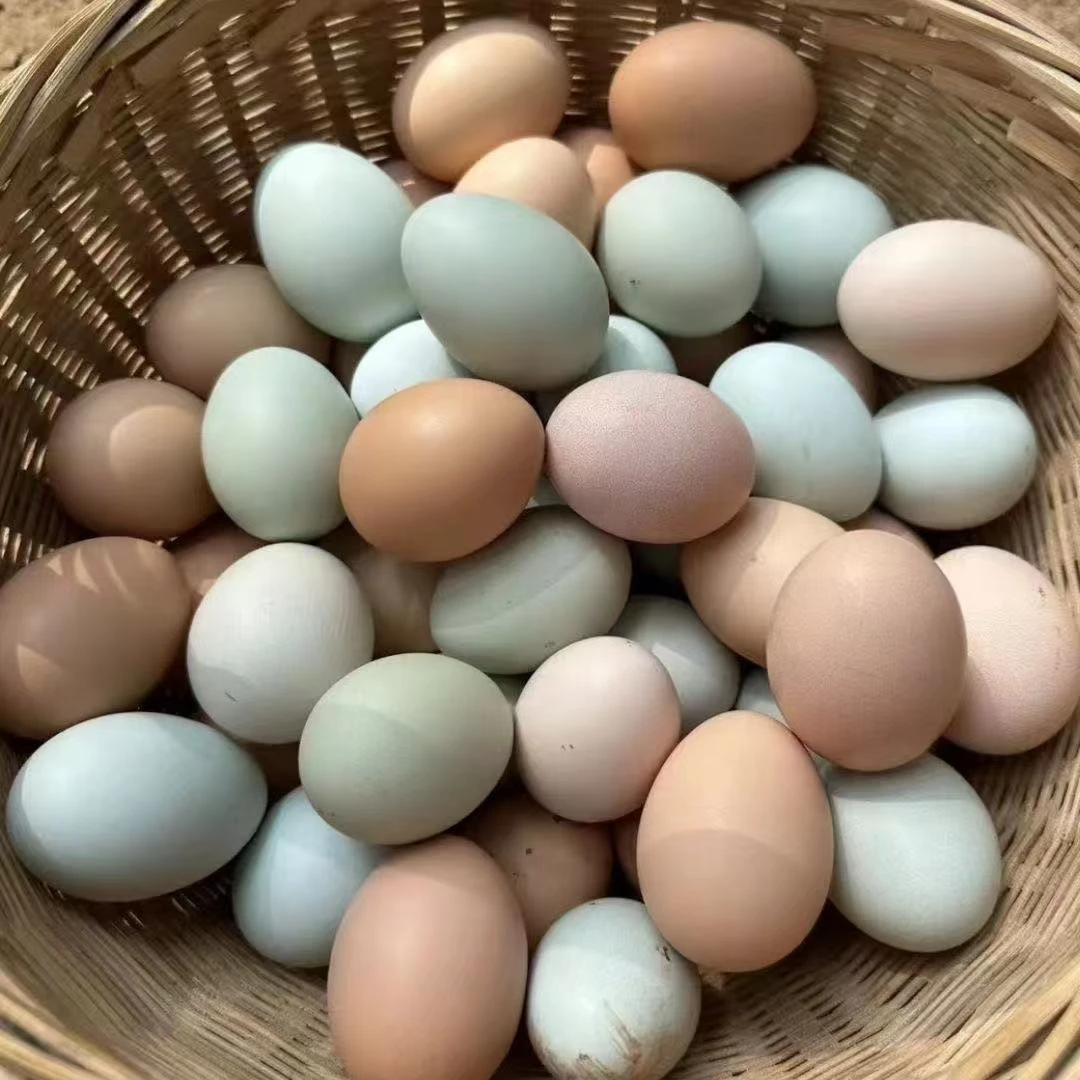 【绿粉壳混装50枚】农家散养新鲜土鸡蛋土鸡蛋散养初生蛋现捡现发顺丰包邮