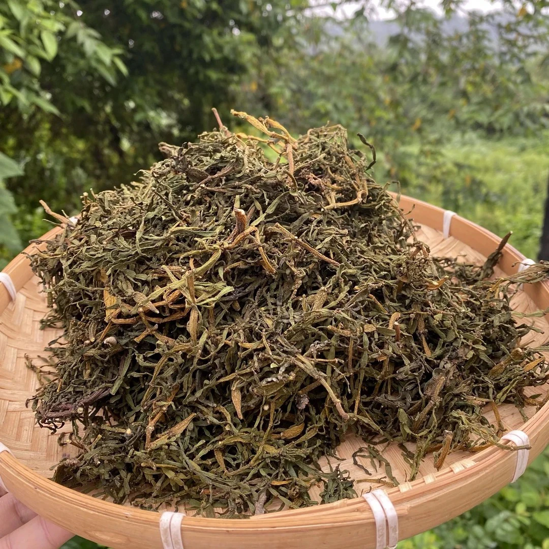 （螃蟹脚）所见即所得茶叶