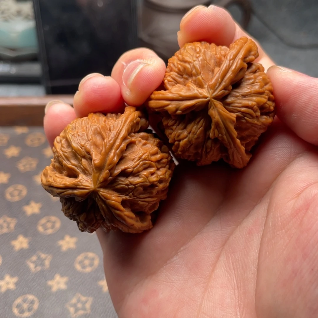 哈***板40黄金尺寸白狮子