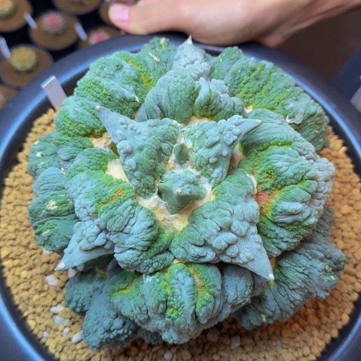 参赛作品展会最后一天