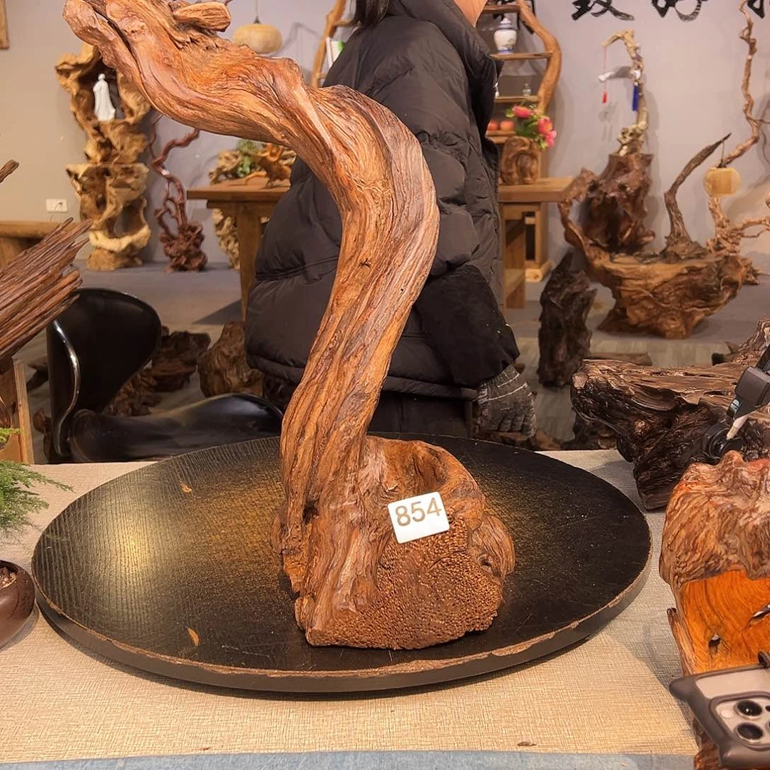 木爆***猩854wwwwwwwwwwww