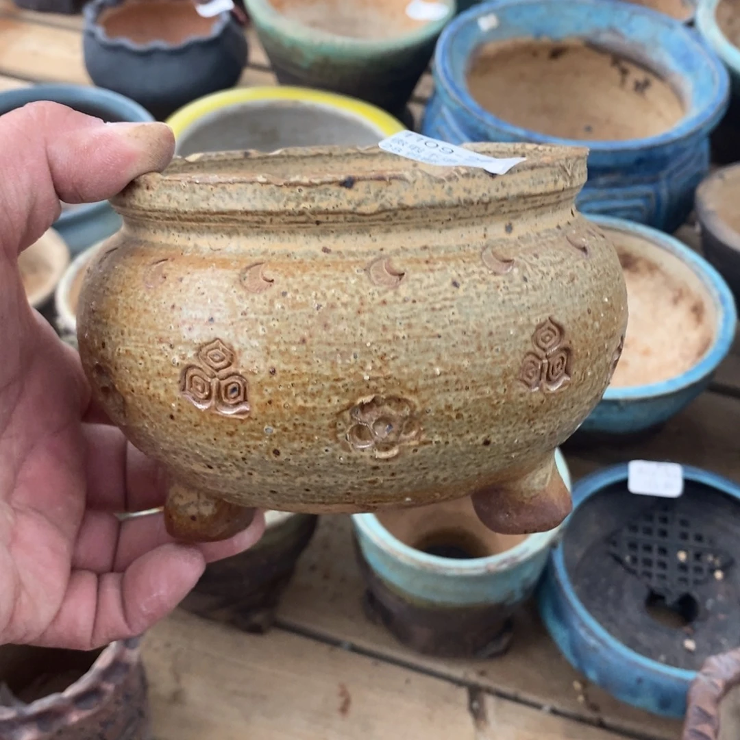 20号花盆内11.5高10花盆