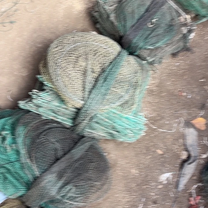 一***顺虾虾笼8262959292958458