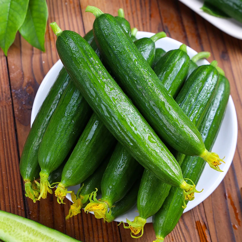 自然搭档 新鲜水果黄瓜3斤/4.5斤整箱无刺小黄瓜食用农产品