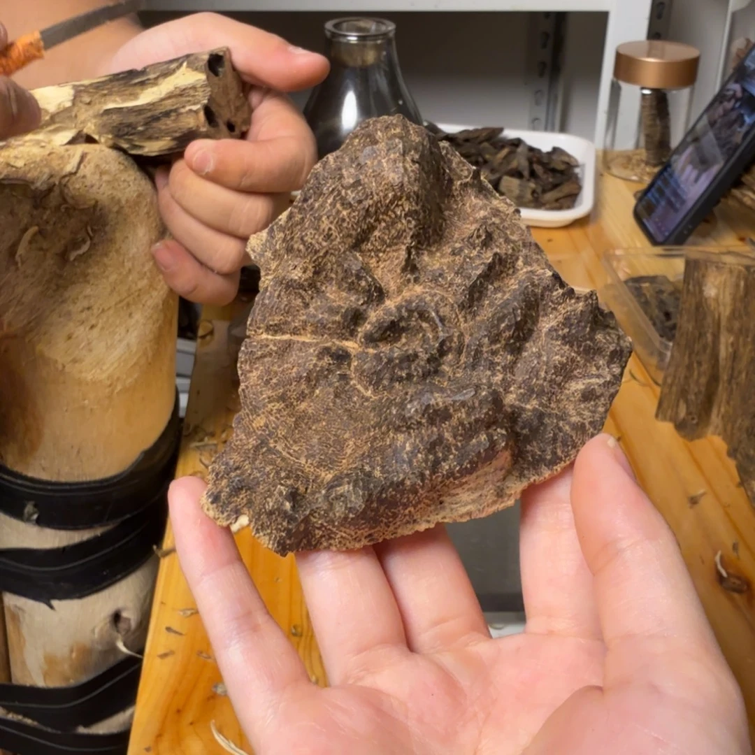 沉香海南天然铁头料11.5克