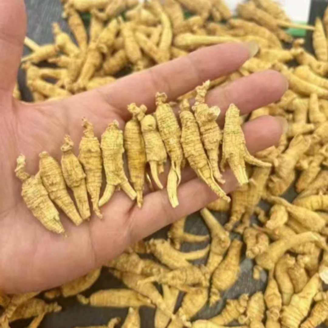 云南山货 花旗参 可搭枸杞泡水