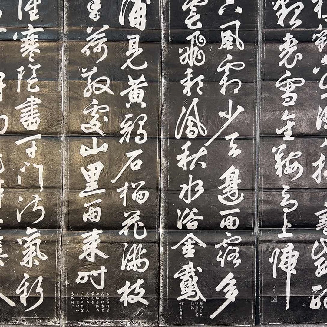 国画673 花鸟是在花间集和花盆的