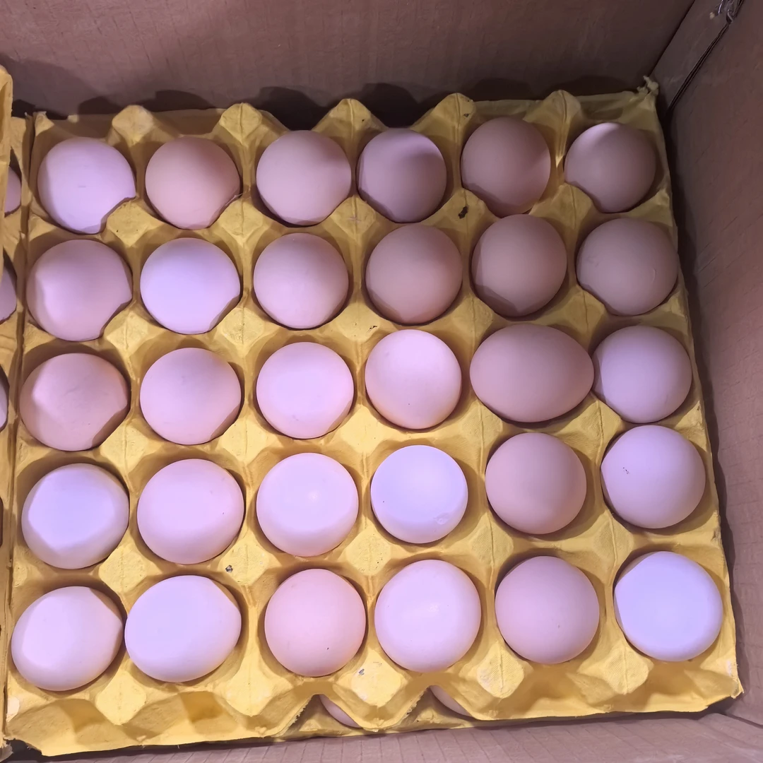 【五谷杂粮蛋】一板30粒，特惠福利25元一板！（3.5斤）