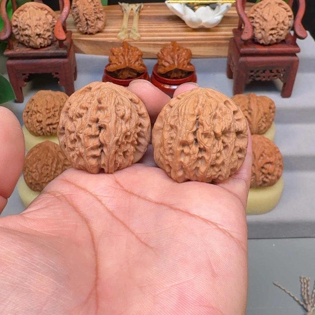 文玩核桃把件— 白狮子