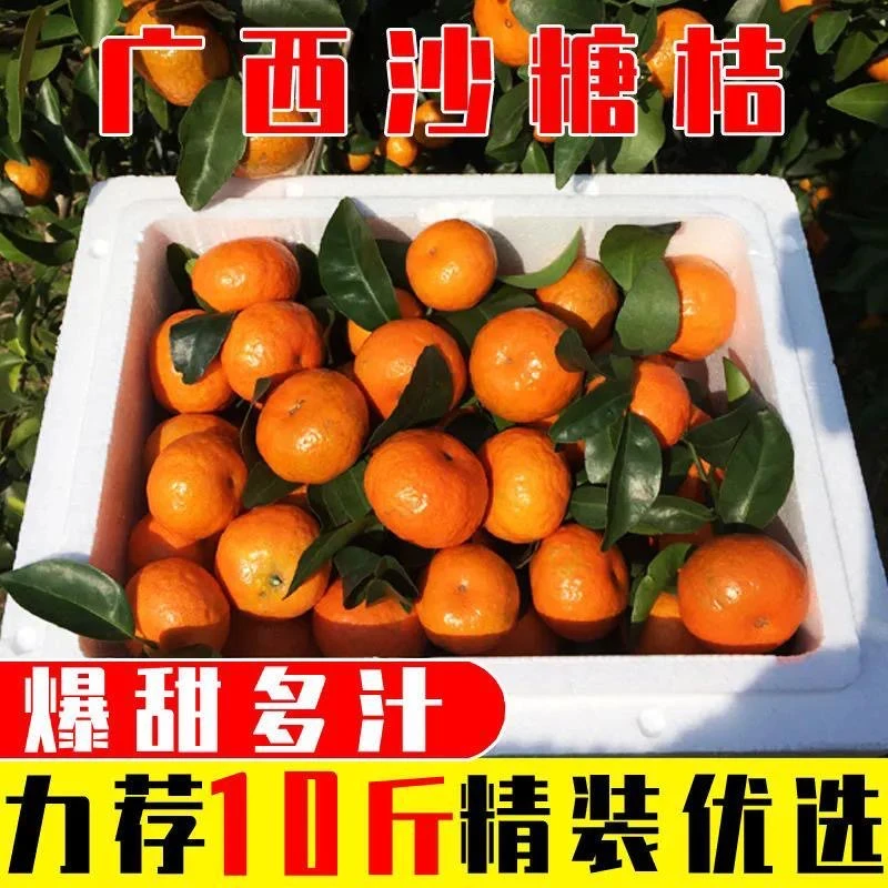 【商超品质】正宗广西砂糖橘薄皮桔子纯甜应季采摘新鲜6/10斤