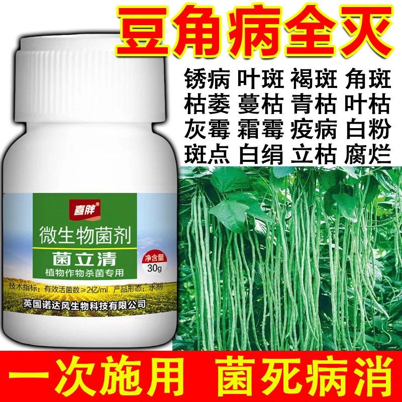 豆角病全治豆角锈病炭疽病枯萎叶斑病根腐病豆角专用药