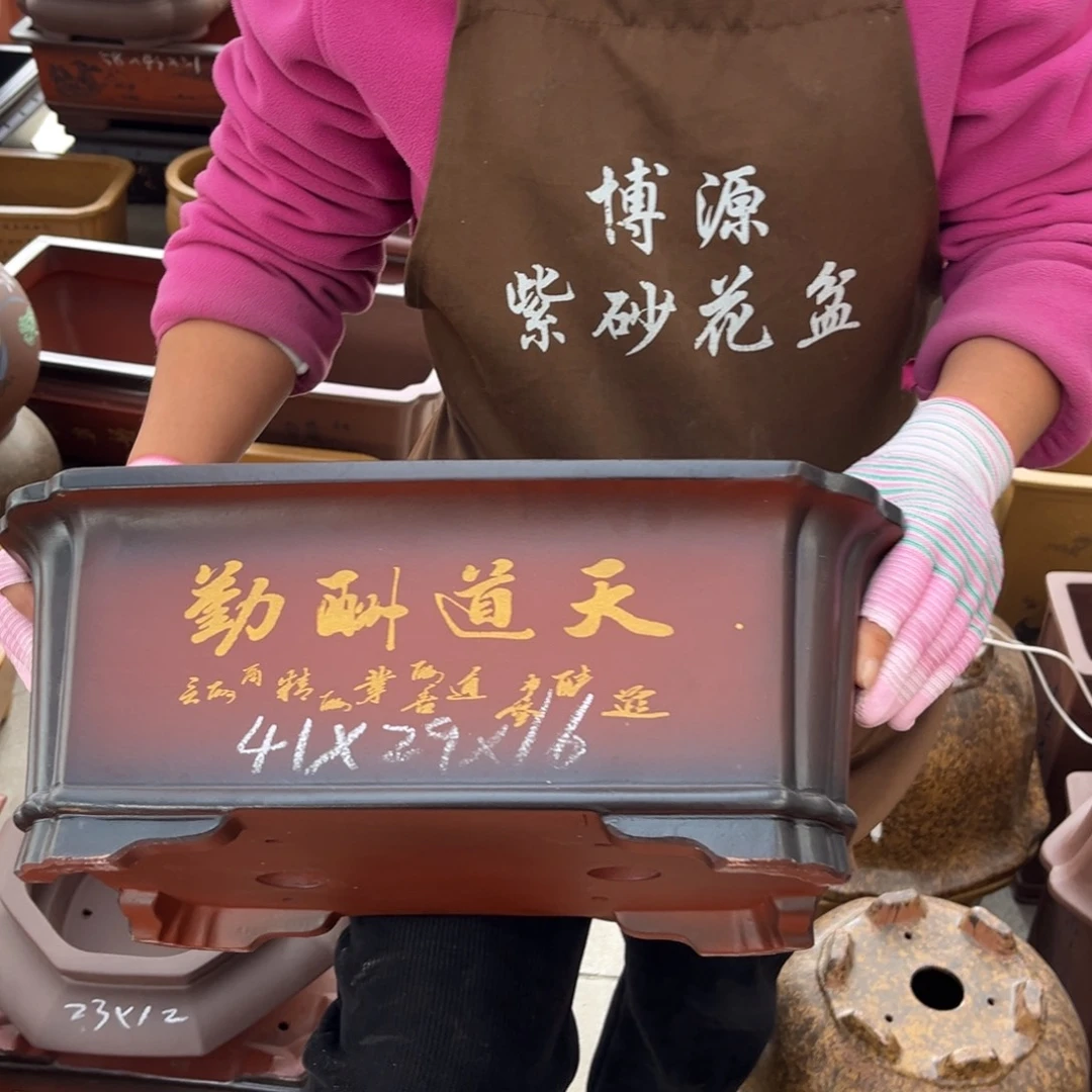 紫砂花盆盆景艺术