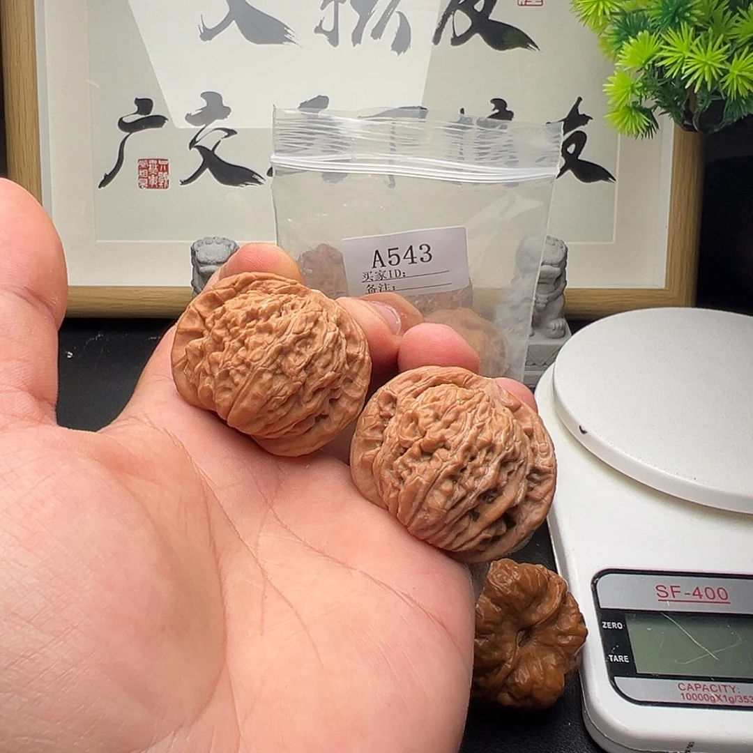 A543四座楼43尺全品
