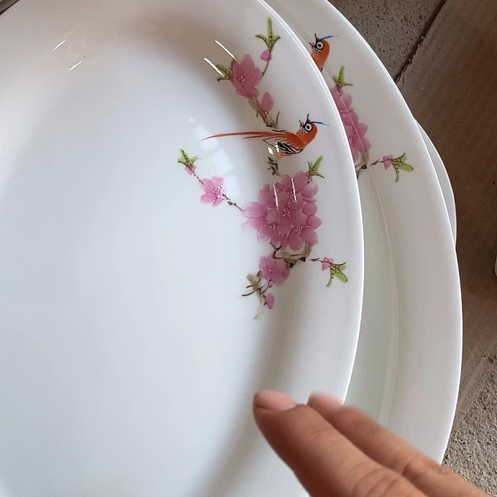 塑料景德镇陶瓷学院副院长兼