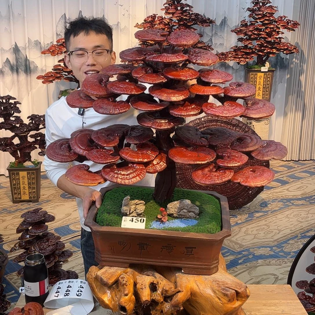 无花朵58888858888