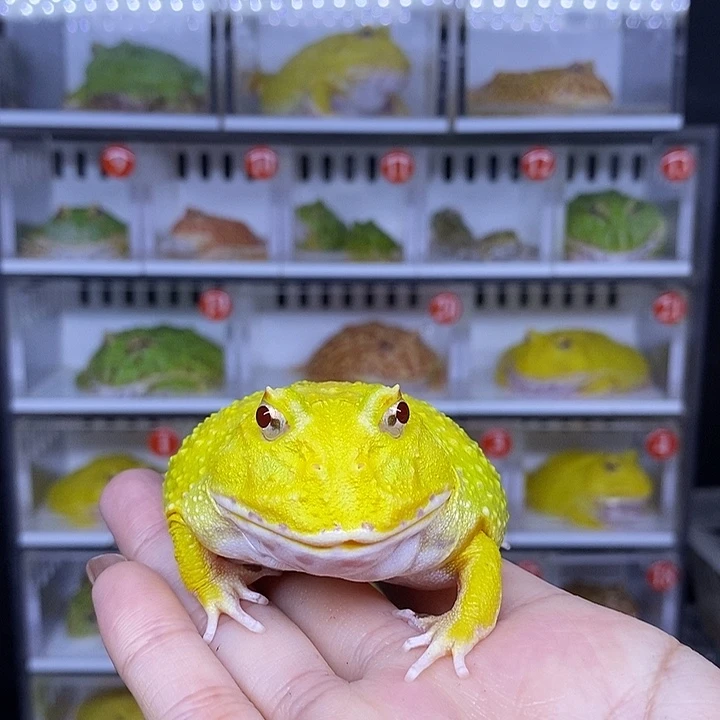 特价秒杀现货特价瑕疵