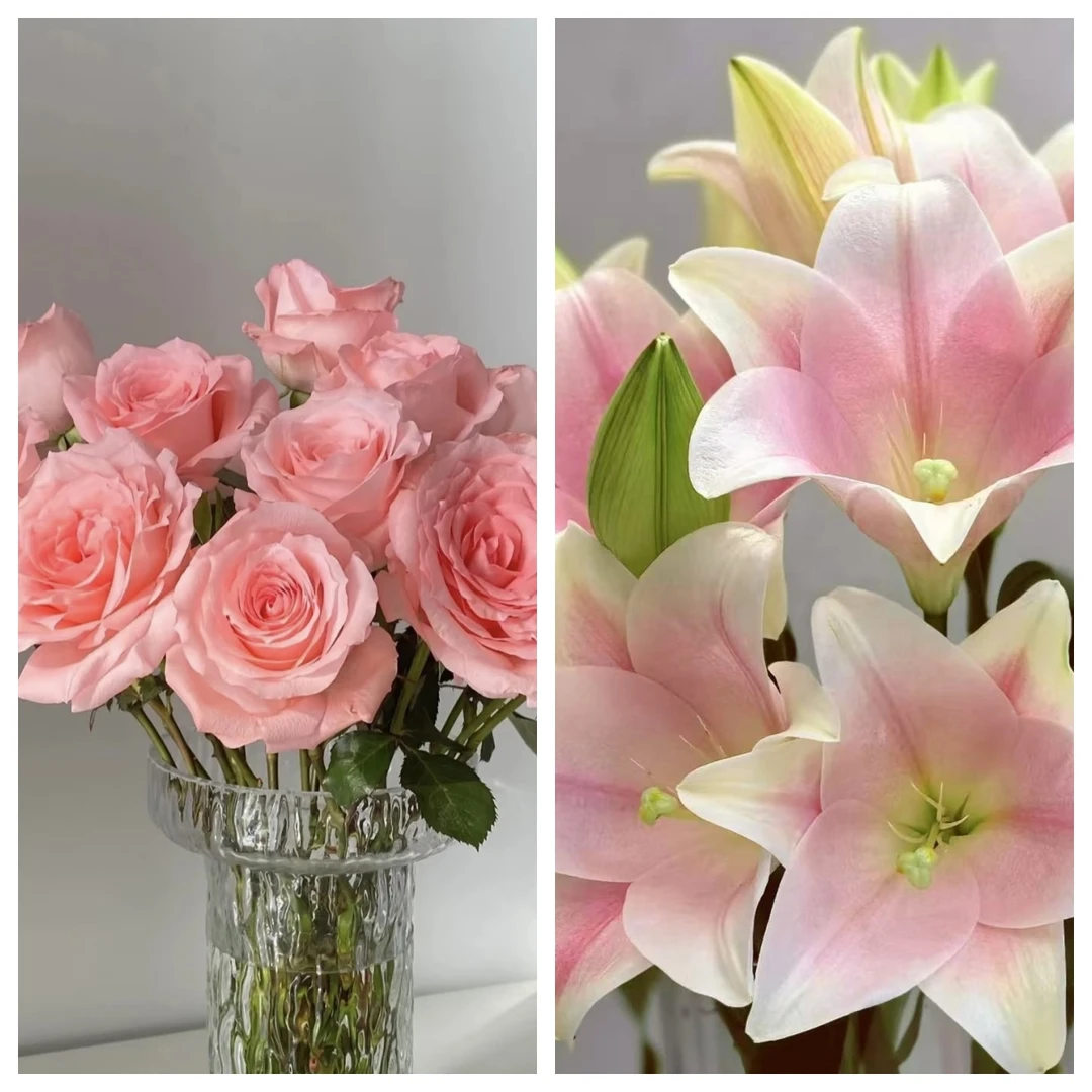 鲜花【葡噗花舍】戴安娜➕粉铁炮百合